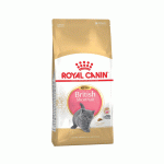 غذای خشک گربه زیر یکسال بریتیش مو کوتاه رویال کنین royal canin kitten british short hair