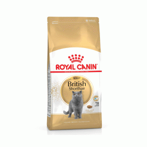 غذای خشک گربه بالغ بریتیش مو کوتاه رویال کنین royal canin british short hair