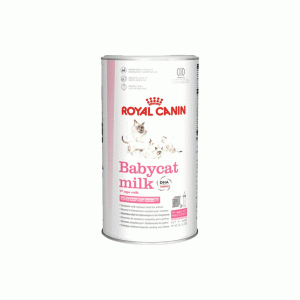 شیر خشک گربه رویال کنین royal canin