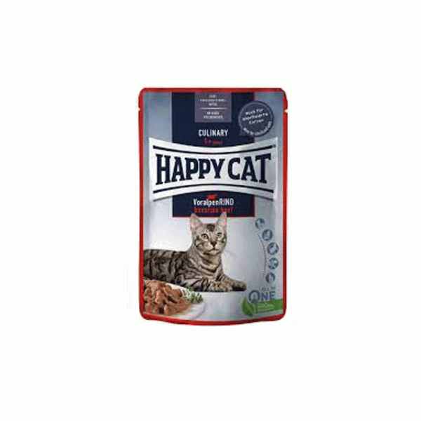 پوچ گربه هپی کت گوشت گوساله happy cat