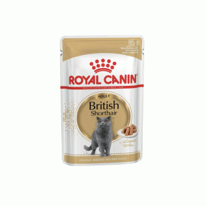 پوچ گربه رویال کنین بریتیش royal canin british