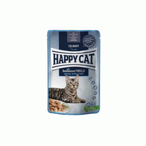 پوچ گربه هپی کت ماهی happy cat