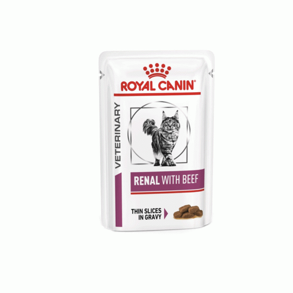 پوچ گربه رویال کنین رنال royal canin renal