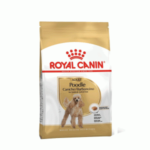 غذای خشک سگ نژاد پودل رویال کنین royal canin poodle