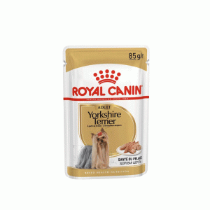 پوچ سگ رویال کنین یورک شایر تریر royal canin