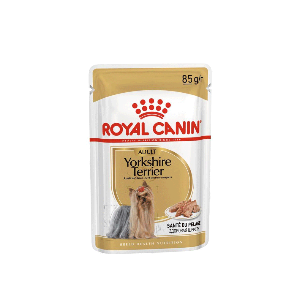 پوچ سگ رویال کنین یورک شایر تریر royal canin