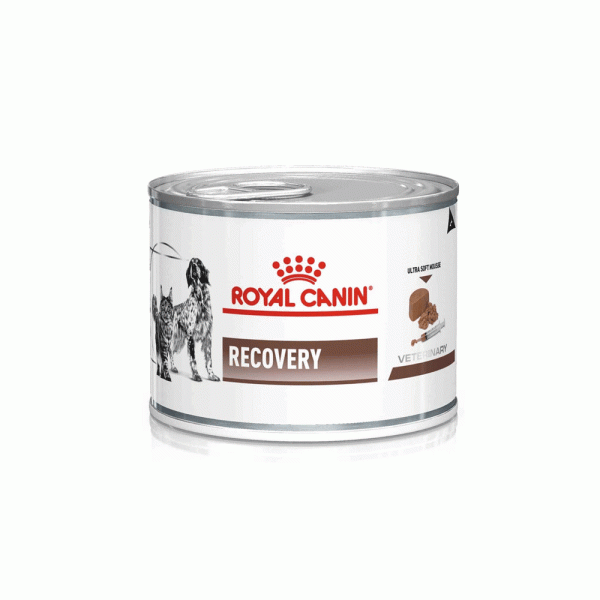 کنسرو رویال کنین ریکاوری royal canin