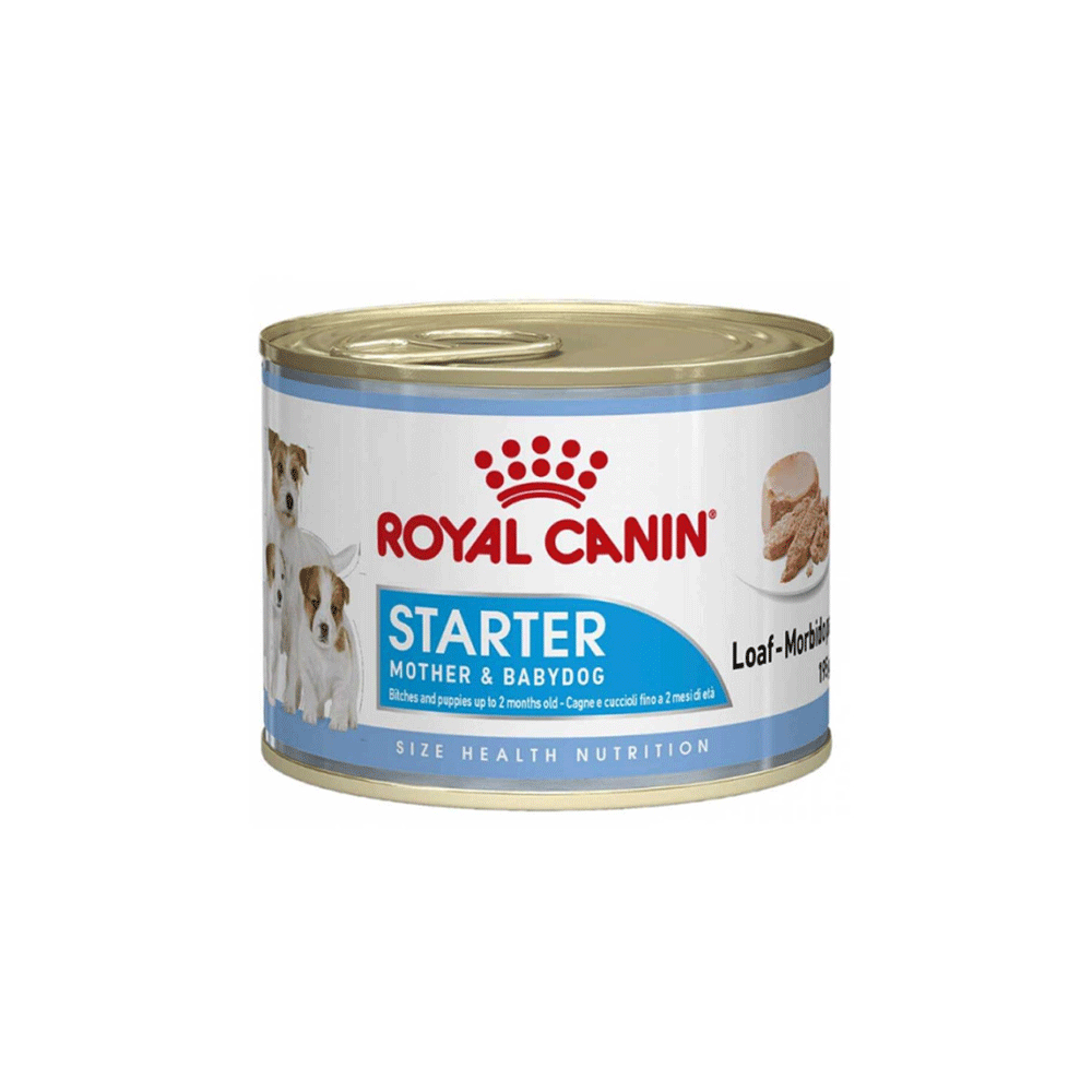 کنسرو سگ رویال کنین استارتر royal canin