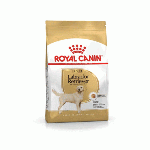 غذای خشک سگ نژاد رتریور رویال کنین royal canin retriever