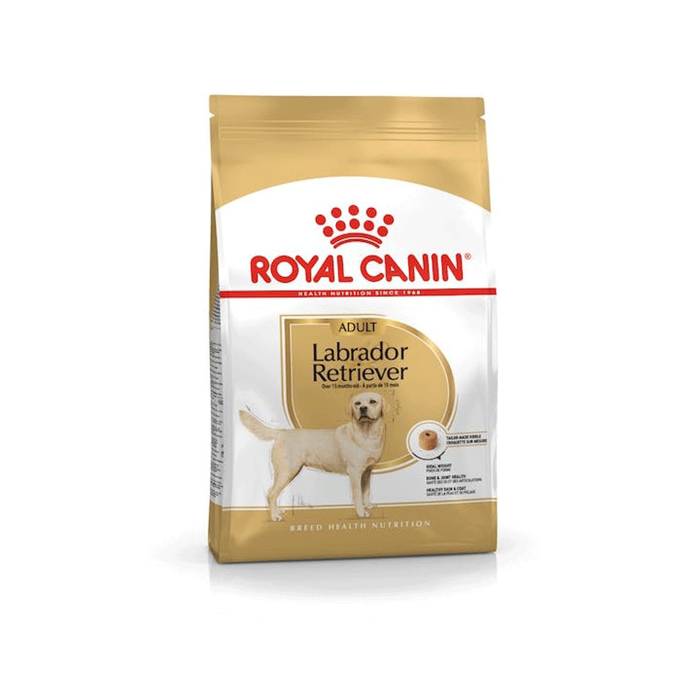 غذای خشک سگ نژاد رتریور رویال کنین royal canin retriever